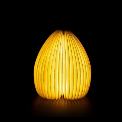 Світильник-ваза на акумуляторі Gingko (Англія), дерево горіх 