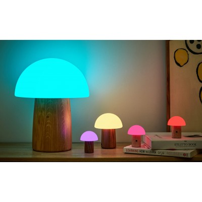 Світильник на акумуляторі Gingko Alice Mushroom Lamp Mini, горіх | G022WT2 Світильник на акумуляторі Gingko Alice Mushroom Lamp Mini, горіх | G022WT2