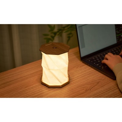 Світильник на акумуляторі Gingko Twist, горіх | G035WT Світильник на акумуляторі Gingko Twist, горіх | G035WT