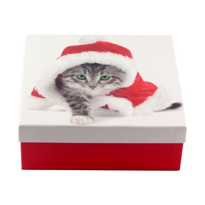  Коробка подарункова ООТВ Santa Cat 22 х 22 х 8 см 