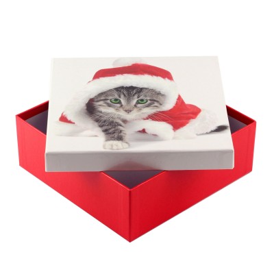  Коробка подарункова ООТВ Santa Cat 22 х 22 х 8 см 