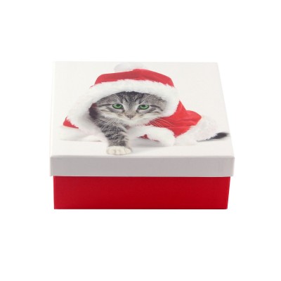 Коробка подарункова ООТВ Santa Cat 18 х 18 х 8 см 