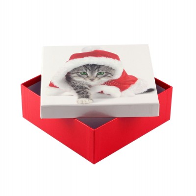 Коробка подарункова ООТВ Santa Cat 18 х 18 х 8 см 