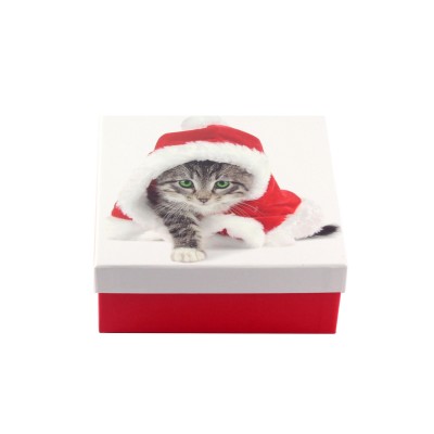 Коробка подарункова ООТВ Santa Cat 16 х 16 х 8 см 