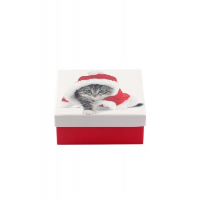 Коробка подарункова ООТВ Santa Cat 12 х 12 х 8 см 
