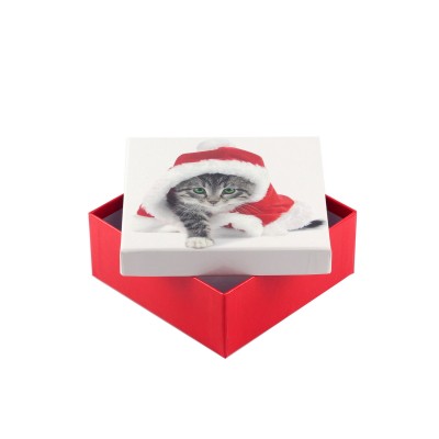 Коробка подарункова ООТВ Santa Cat 12 х 12 х 8 см 