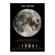 Постер "The Moon (Phases)" (Уценка) 61 x 91,5 см Постер "The Moon (Phases)" (Уценка) 61 x 91,5 см