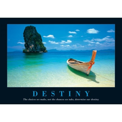 Постер "Destiny" 61 x 91,5 см Постер "Destiny" 61 x 91,5 см