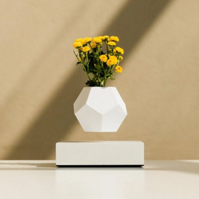 Левітуючий вазон FLYTE Lyfe 