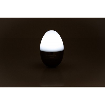 Таймер для brainstorm Troika Eggtivate, з датчиком вібрації, сірий 