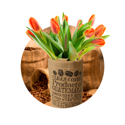 Ваза "Coffee Brand" Ваза "Coffee Brand"