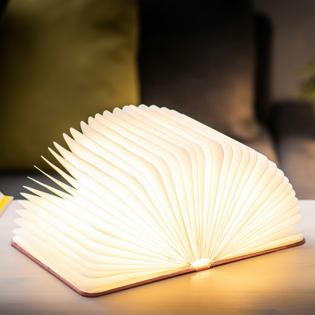 Світильник-книга на акумуляторі MINI URBAN Gingko (Англія), рожевий — фото 3
