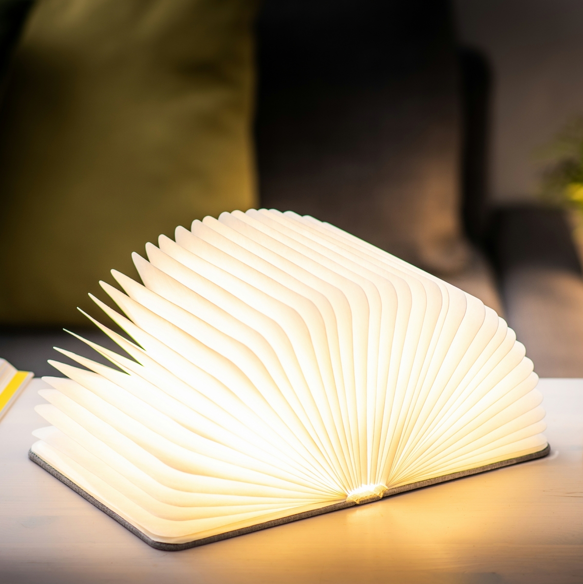 Світильник-книга на акумуляторі LARGUE URBAN Gingko (Англія), сірий — фото 4